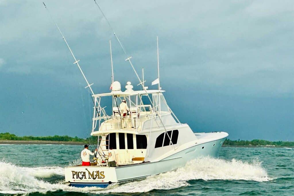 Pica Más is a 1979 48-foot Whiticar This classic fish-raiser is complemented by her captain, Nicho Alvarenga, and has undoubtedly earned her billfish badge among the CVL fleet.