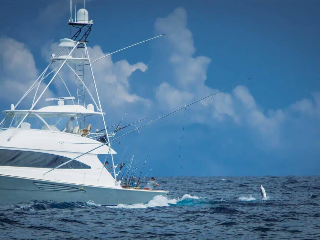 Anglers fishing on a sport-fishing boat.