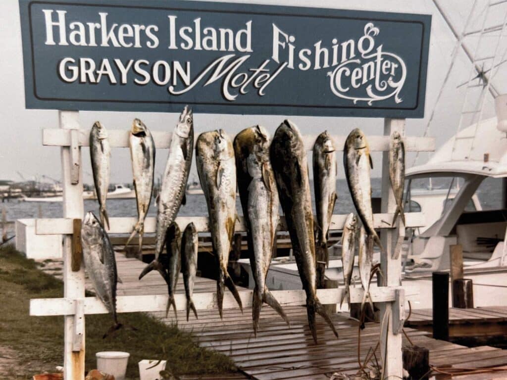 The Hawkers Island sign with fish strung up underneath it.