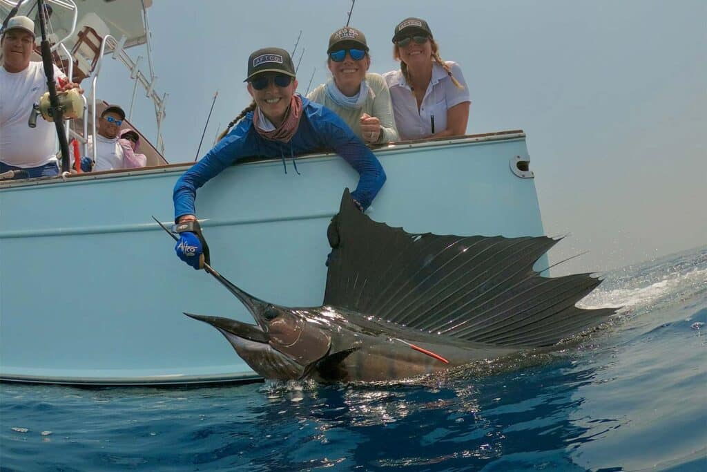 A crew and anglers pull a sailfish boatside.