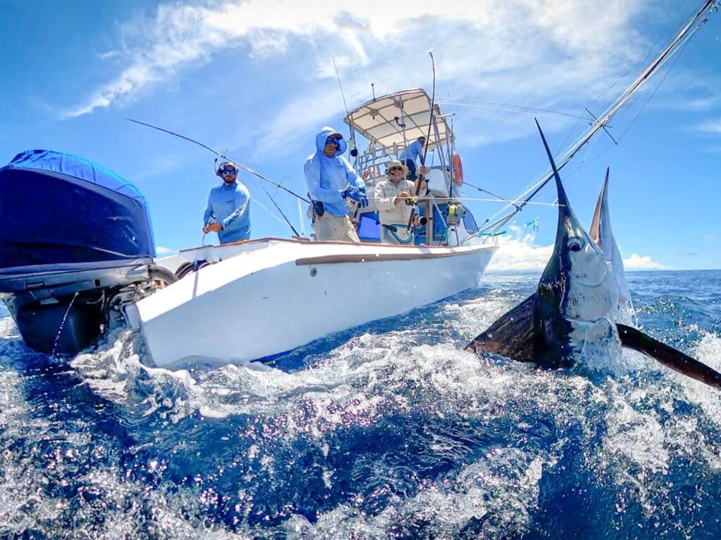 marlin-boatside-ecuador-fishing-tour