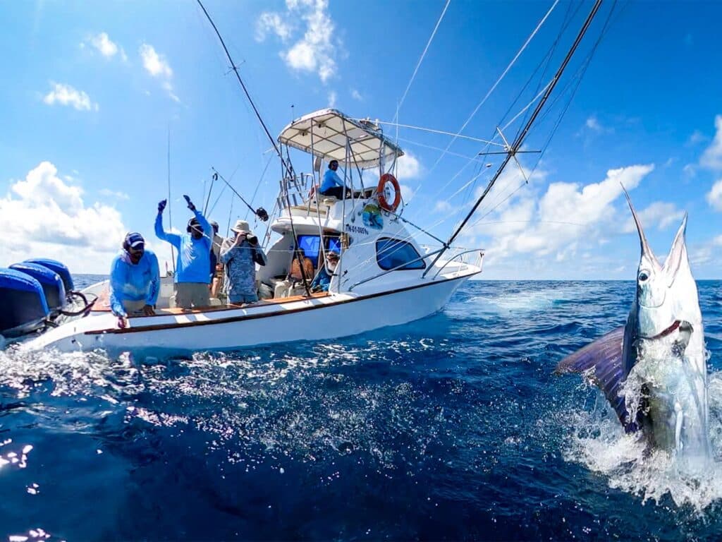 marlin-mid-jump-ecuador-fishing-tour
