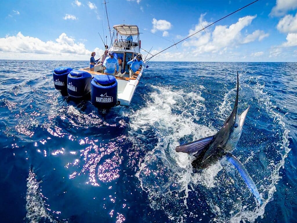 outboard-sport-fishing-boat-marlin-ecuador