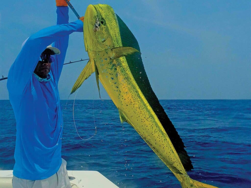 A sport-fishing angler holding a large dorado up