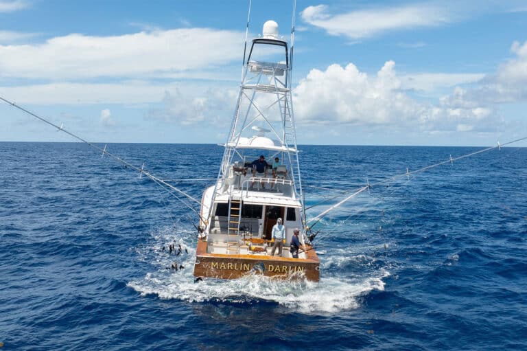 A sport-fishing boat on the water.