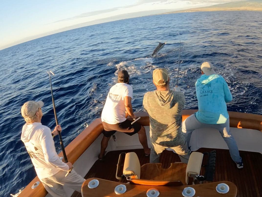 Worth the Wait: Pending Fly-Tackle Blue Marlin Record in Hawaii | Marlin