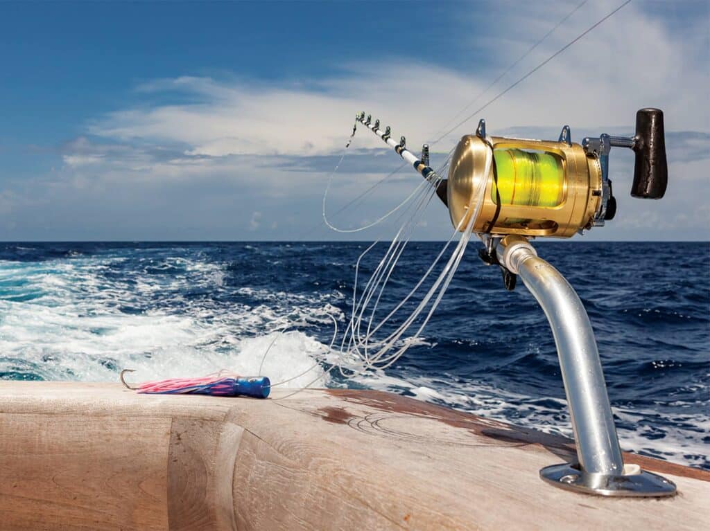 A fishing reel with a coiled leader.