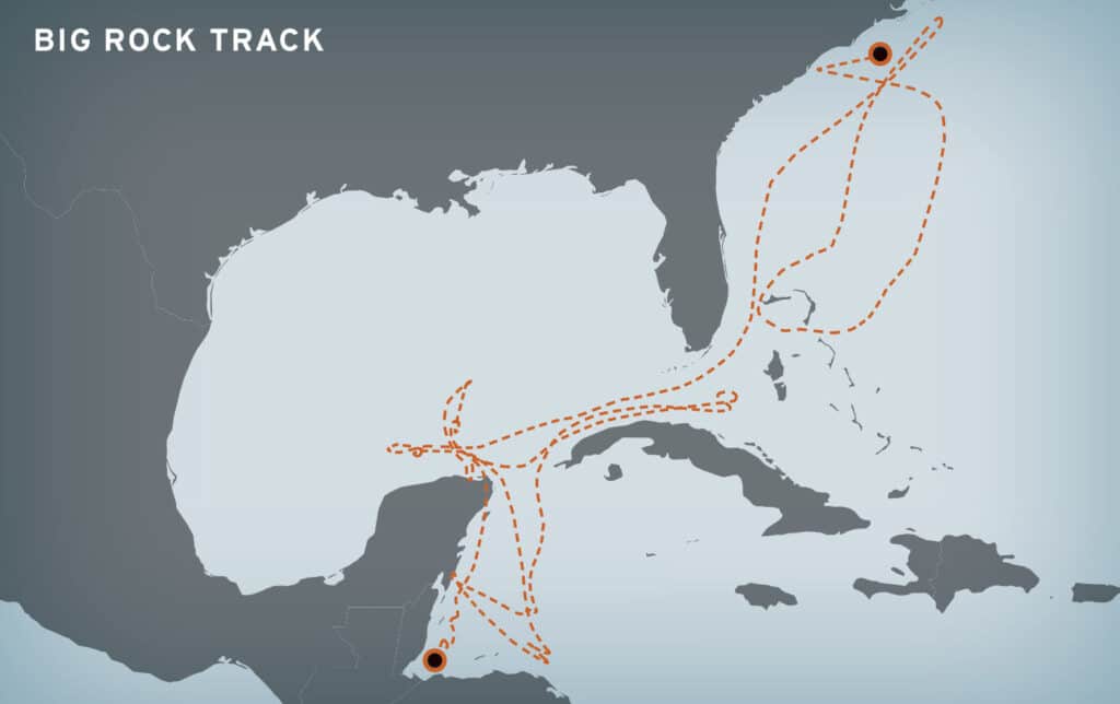 Digital rendering of a marlin's travel track through the Atlantic and Caribbean.