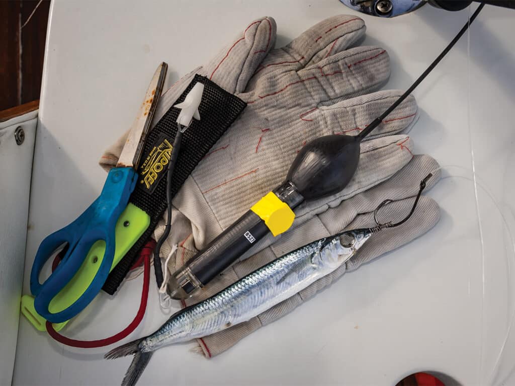 An assortment of tools on a table.