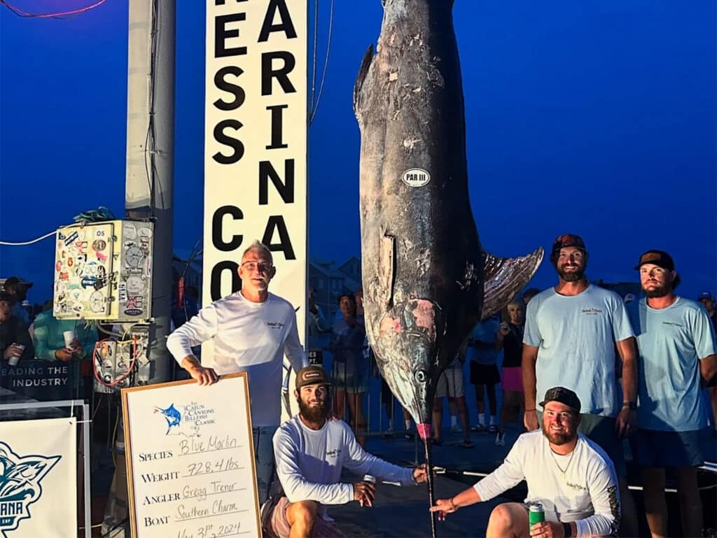 A team of anglers stand around a large marlin being weighed at the docks.