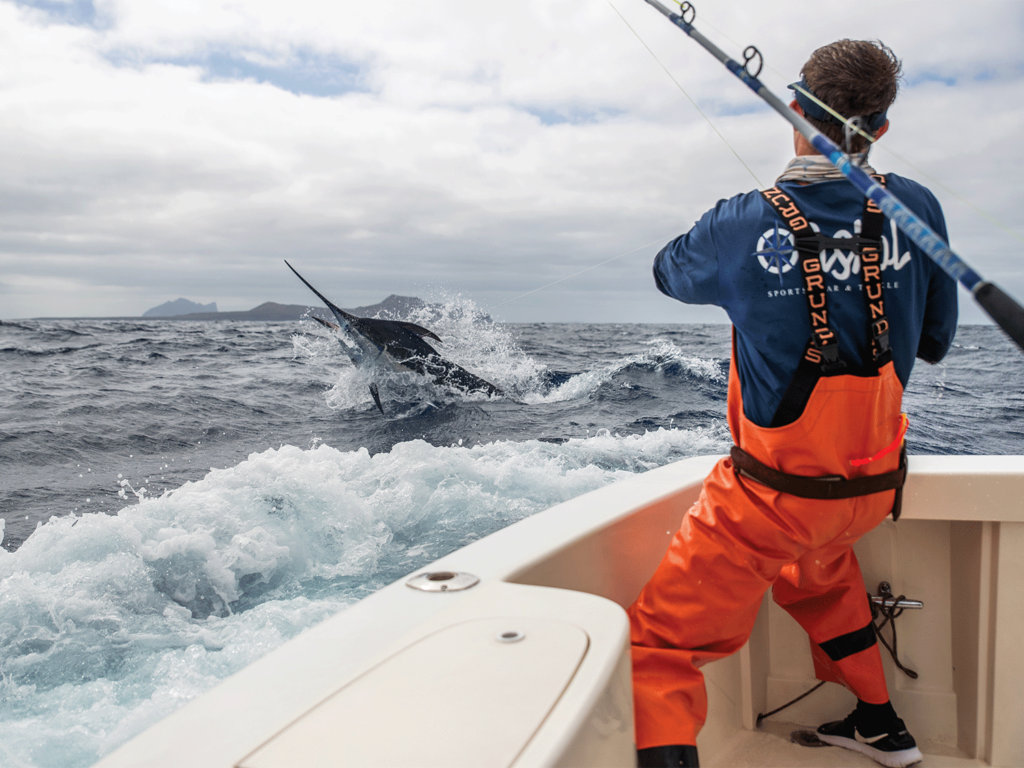An angler reels a large marlin in boatside.