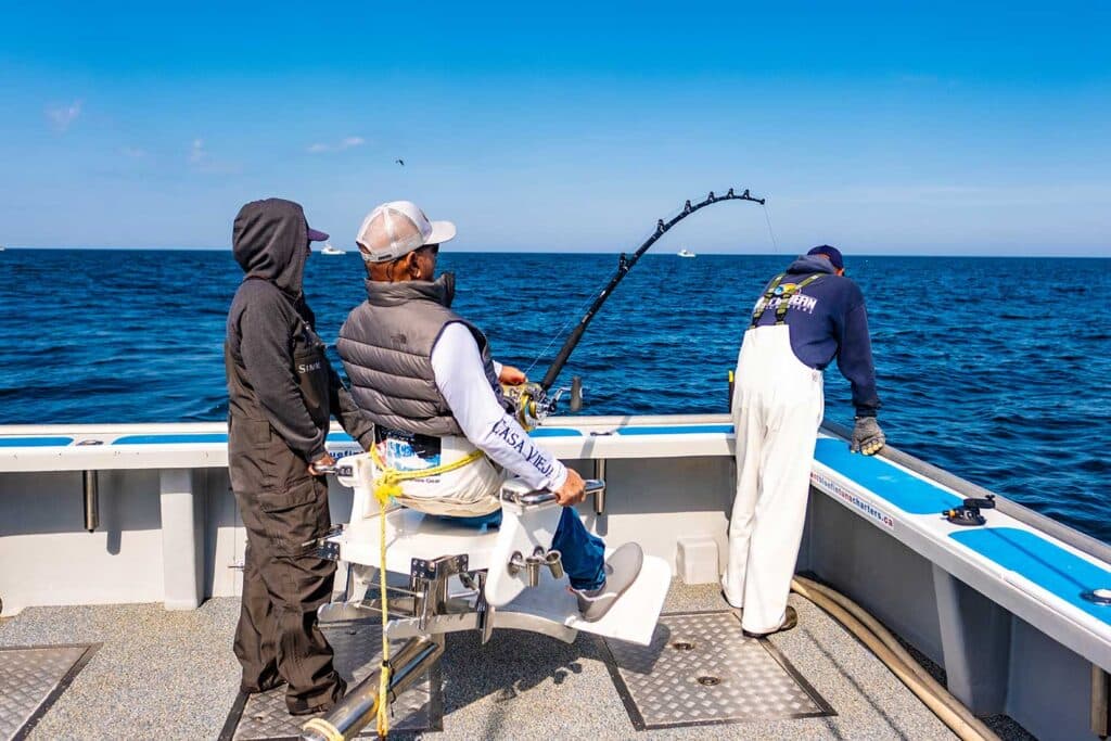 marlin-expeditions-2025-nova-scotia-angler-fighting-chair