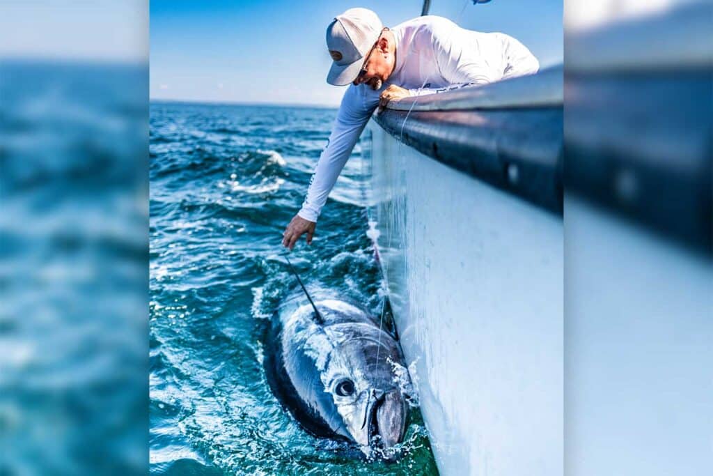 marlin-expeditions-2025-nova-scotia-tuna-boatside