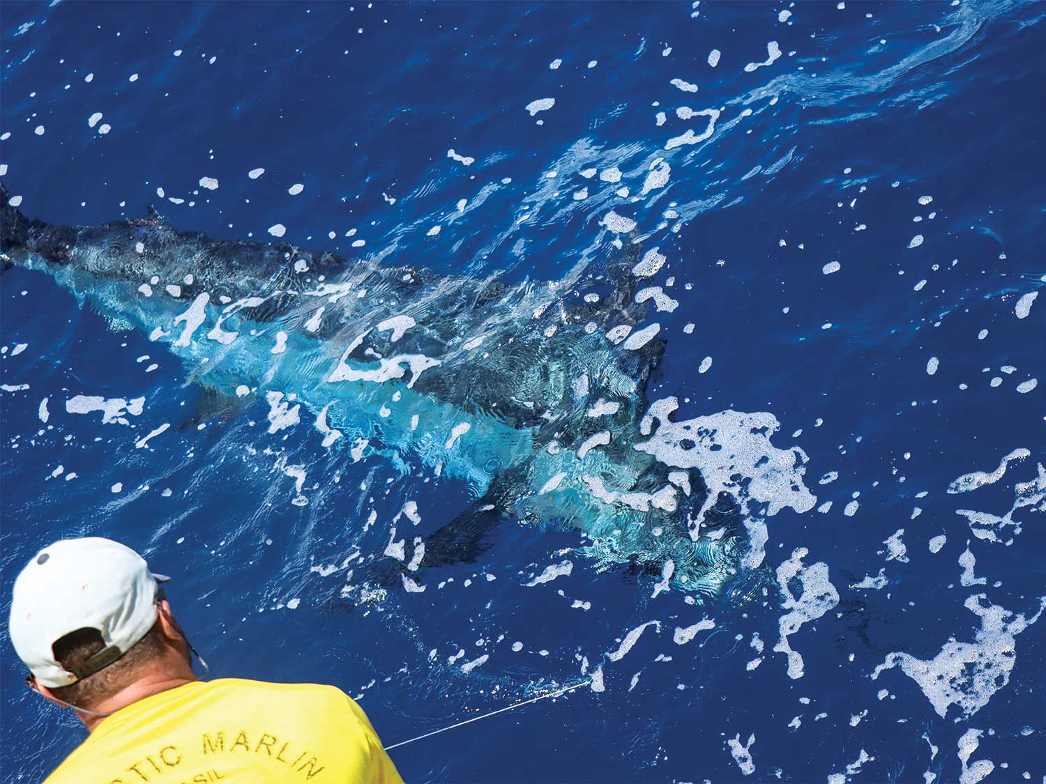 How to Avoid Costly Fishing Tournament Video Verification Disasters ...