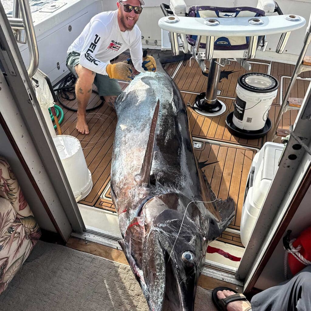 Crewmate kneels beside a large boated Pacific blue marlin.