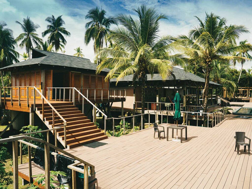 Tropical view of Fish Colombia fishing lodge. The villas are surrounded by lush palms.