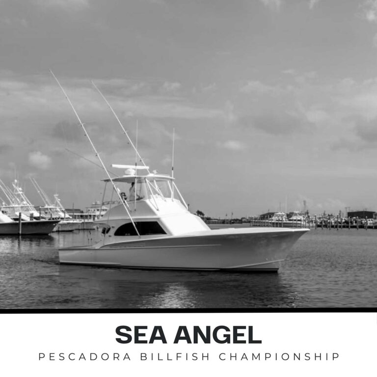 Team Sea Angel - Marlin Madness