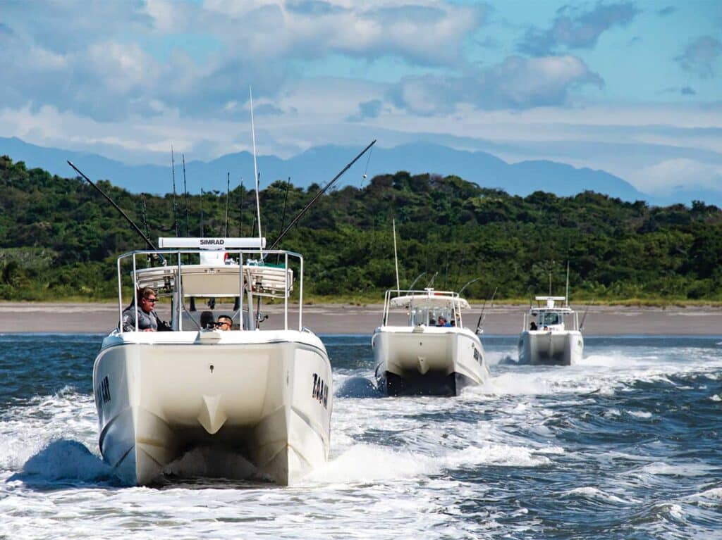 A fleet of catamarans leaving an island.