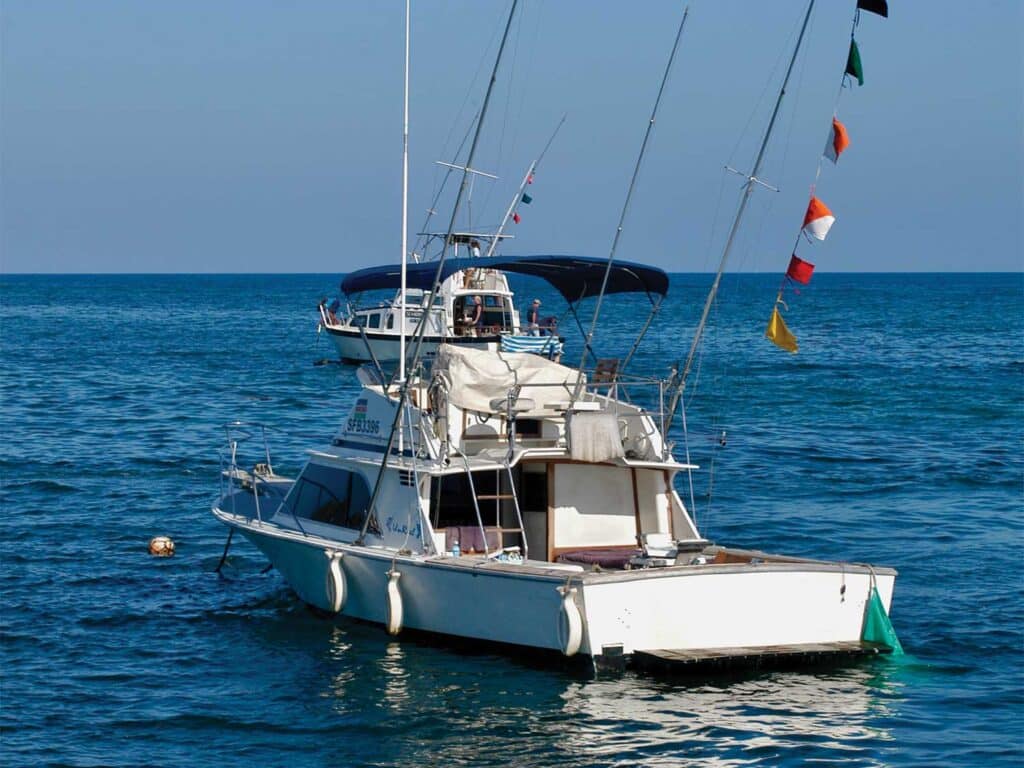 A sport-fishing boat on the water. multi-colored release flags can be seen from the rigging.