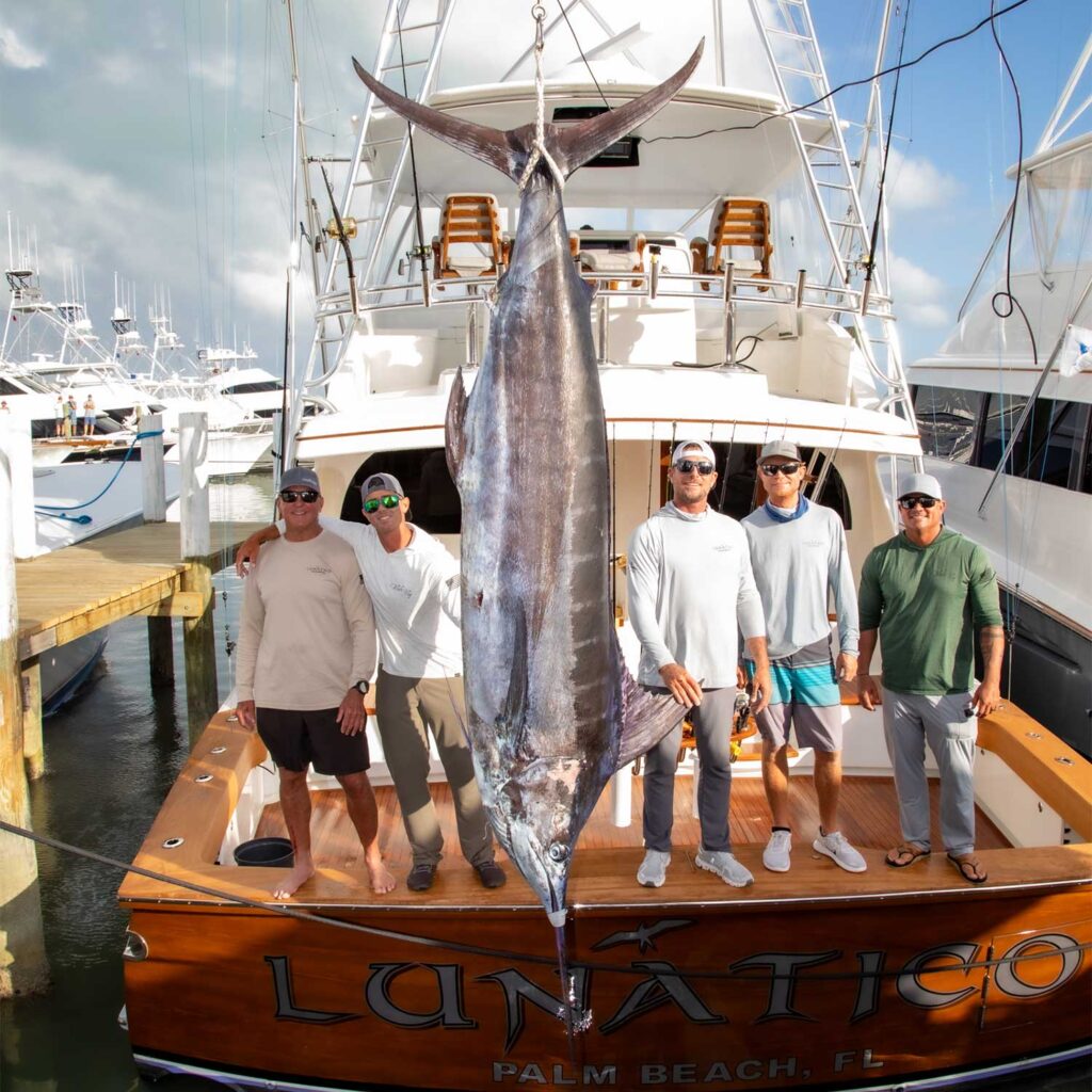 A team of anglers stand in the cockpit of their boat next to a blue marlin that is being hung and weighed from the docks.