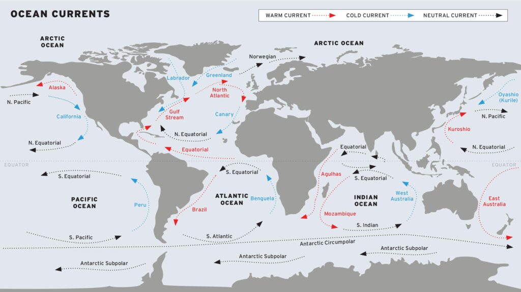 A digital rendering of the world's ocean currents.