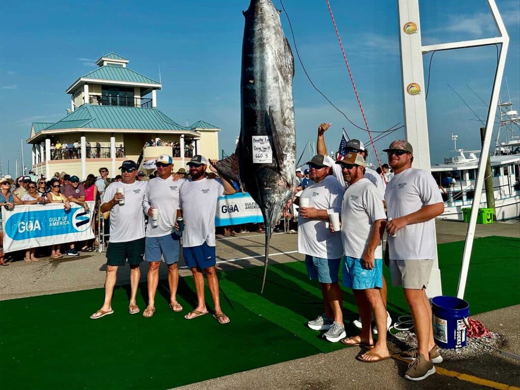 A team of anglers stand next to a large blue marlin at weigh-in.