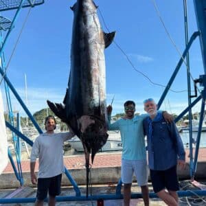 A team of anglers standing next to a 919 lb marlin being weighed.