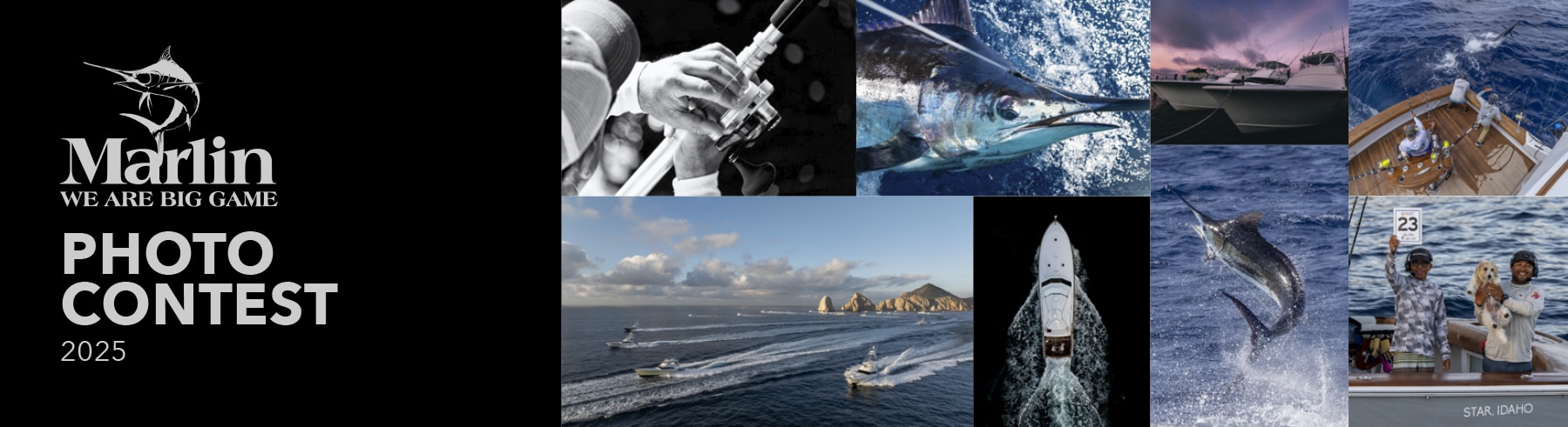 Marlin Photo Contest 2025