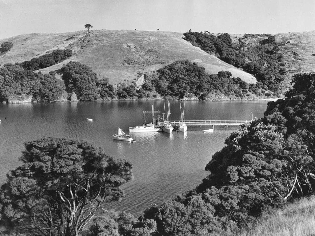 A black and white image of Bay of Islands.