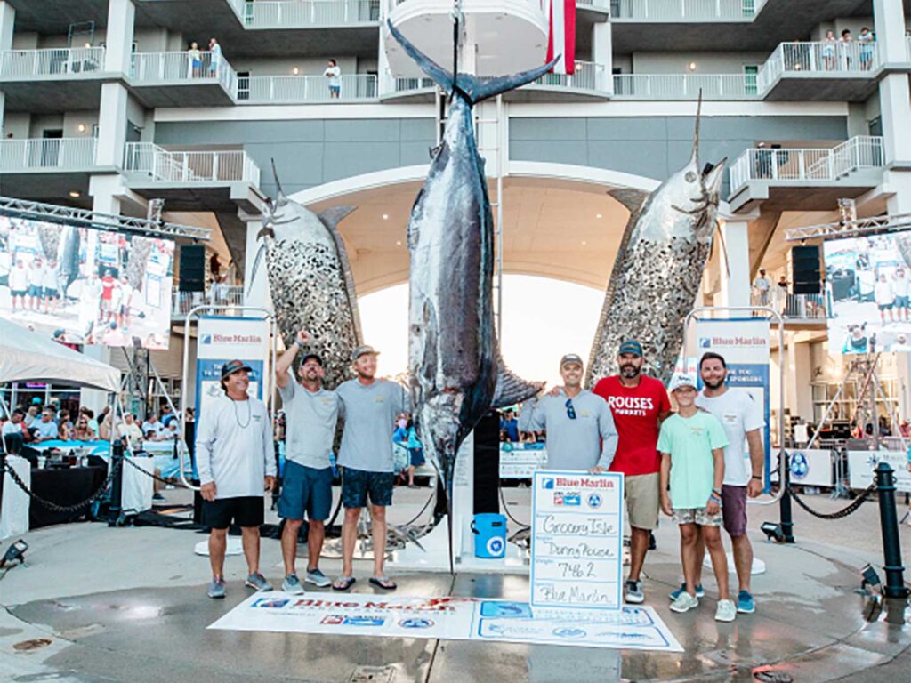 A group of anglers stand around a 746 pound blue marlin being weighed.