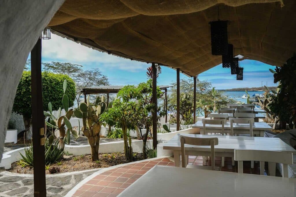 Casa Opuntia patio view