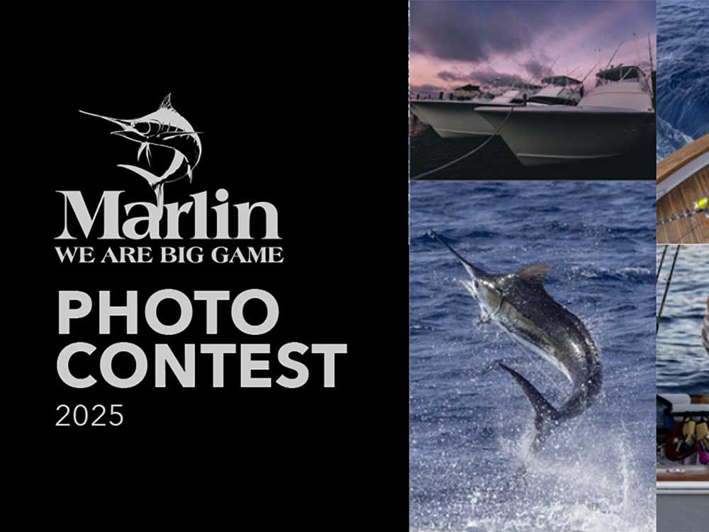 marlin photo contest 2025