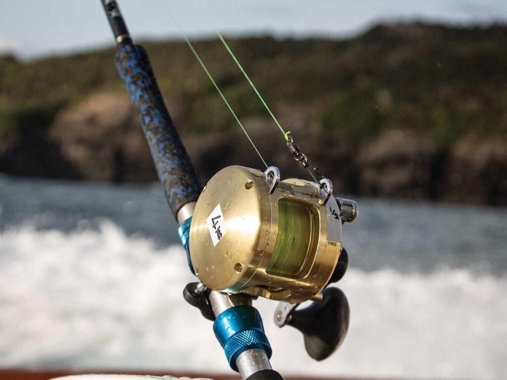 Close up detail of a light tackle reel.