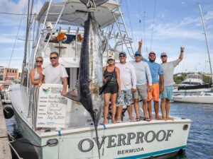 Team Overproof stands on the transom of their sport-fishing boat next to a 501-pound marlin being weighed.