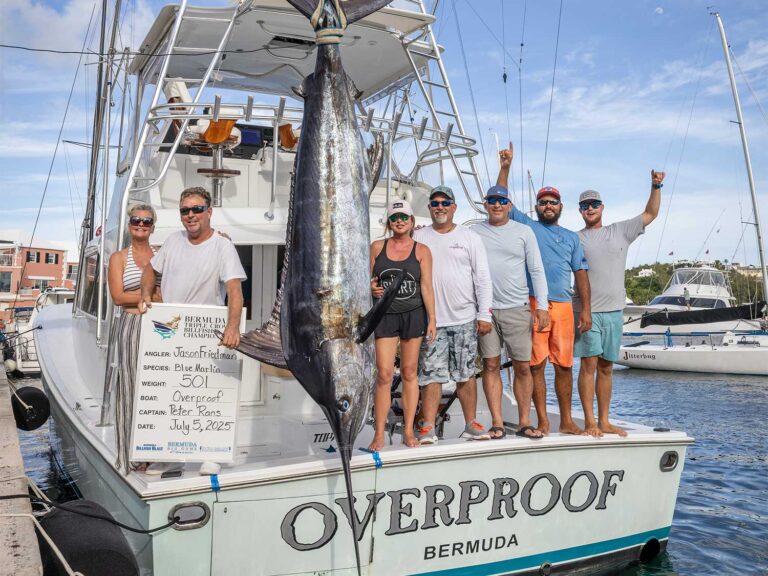 Team Overproof stands on the transom of their sport-fishing boat next to a 501-pound marlin being weighed.