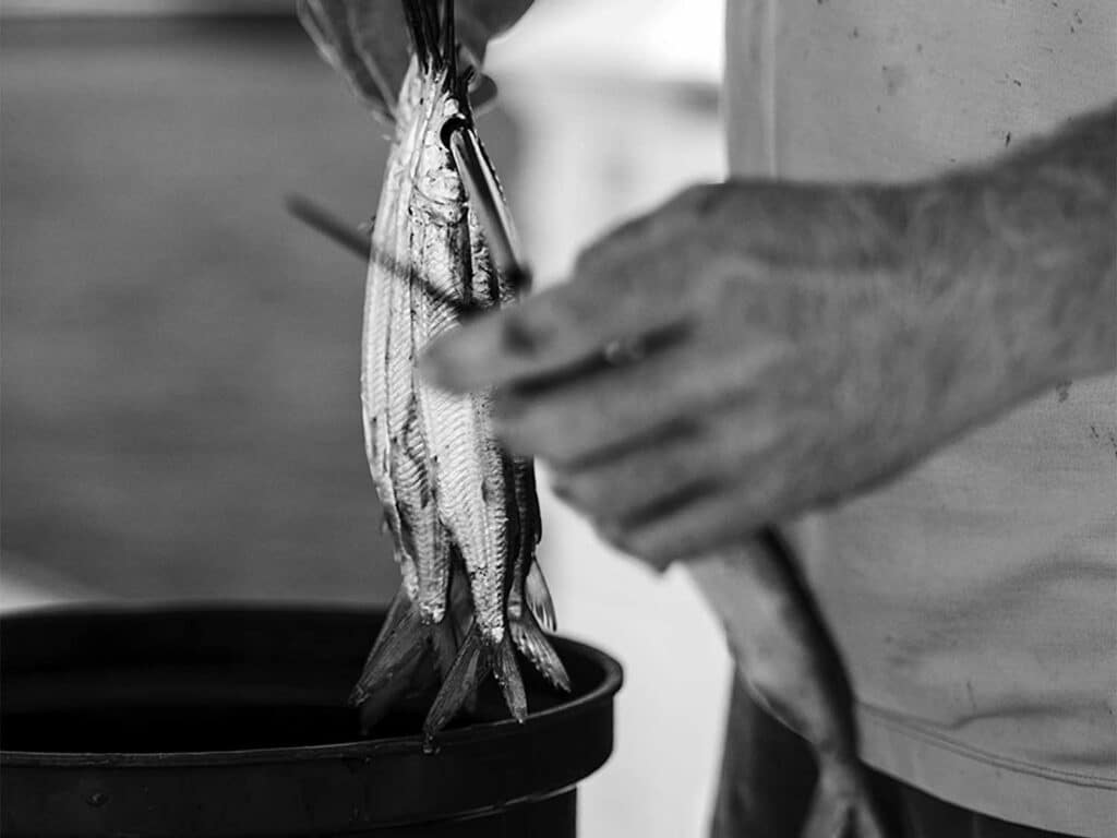 A crewmate prepares ballyhoo rigs.