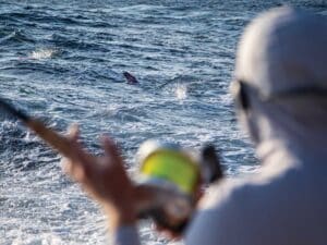 Angler looks on while a marlin is on the line.