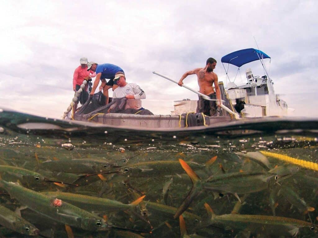 Baitfisher crew catching ballyhoo.