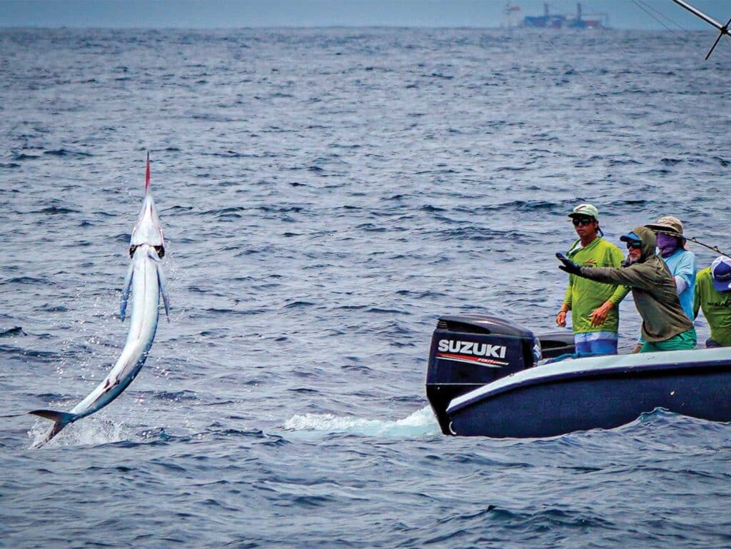 An angler wires a striped marlin.