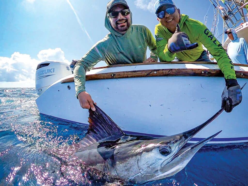 Two anglers release a striped marlin.