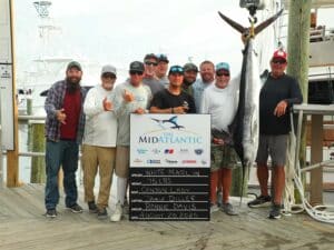 A group of anglers stand next to a white marlin being weighed.