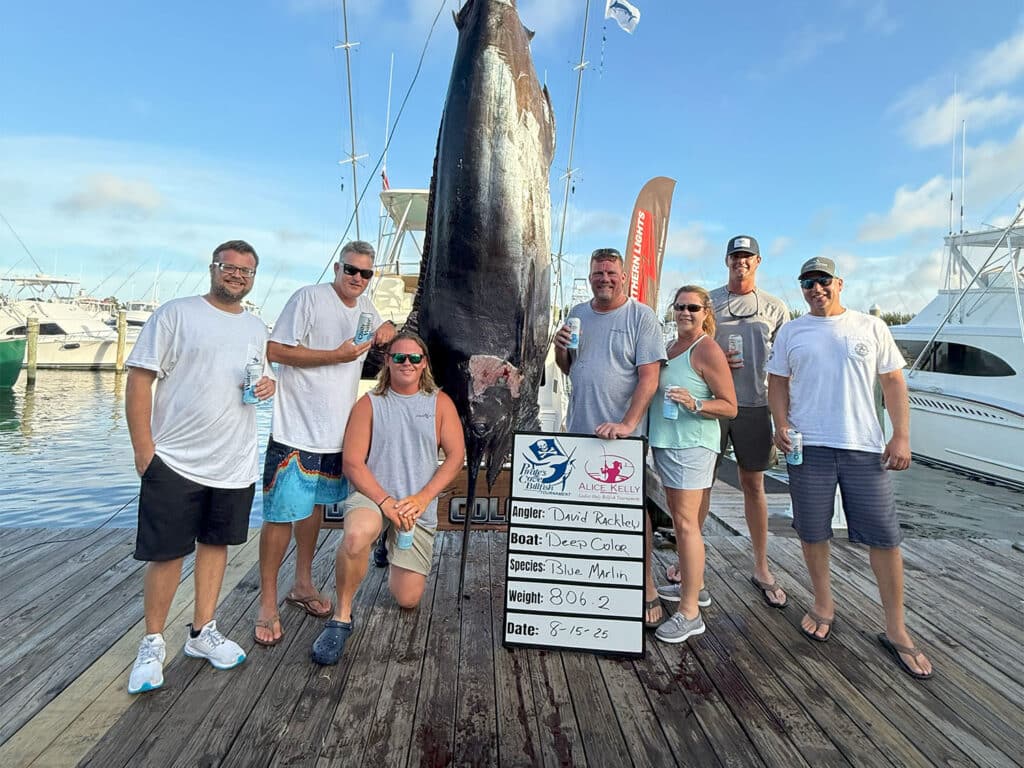 A team of anglers standing next to a large marlin at weigh in.