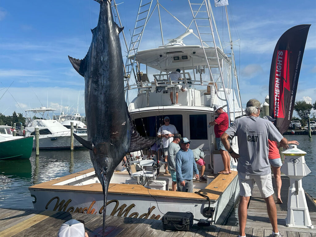 A team of anglers in the cockpit of a sport-fishing boat next to a large marlin being weighed.