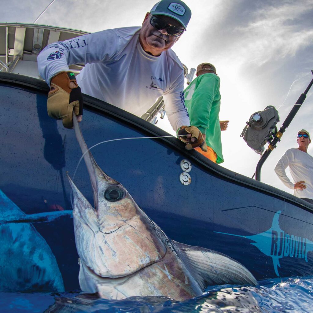 An angler releases a billfish.