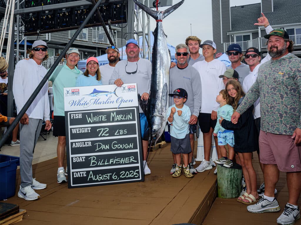 A team of anglers standing next to a white marlin at weigh-in.