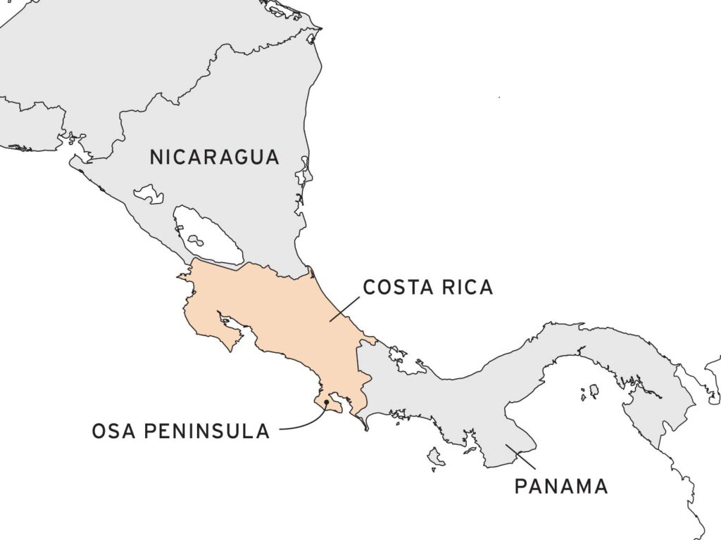 Digital rendering of Central America, highlighting the Osa Peninsula in Costa Rica.