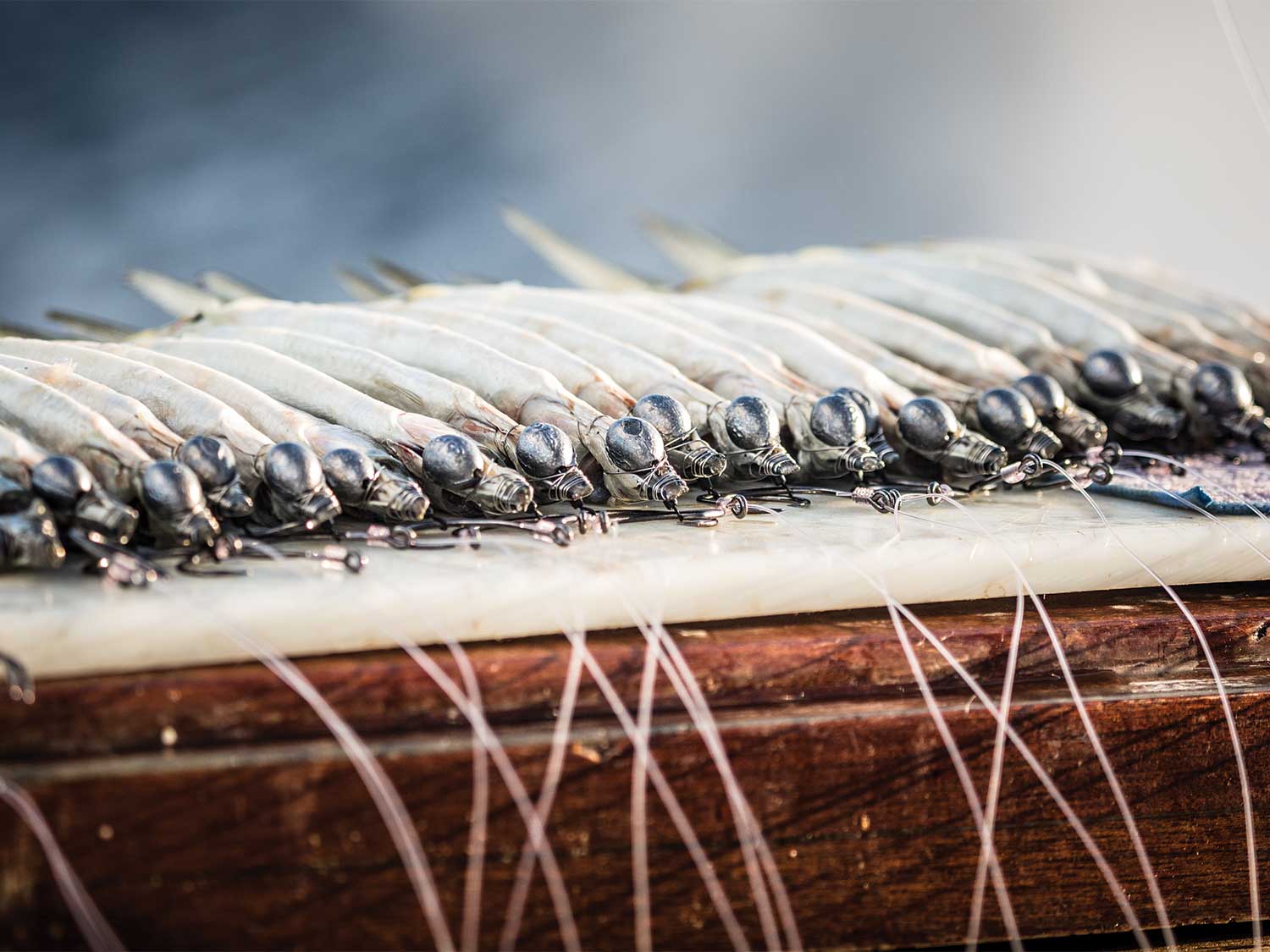 Mastering Bait Logistics for Traveling Sportfishing Crews