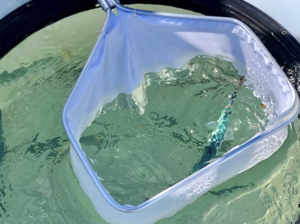 R&R Tackle Wet-Net