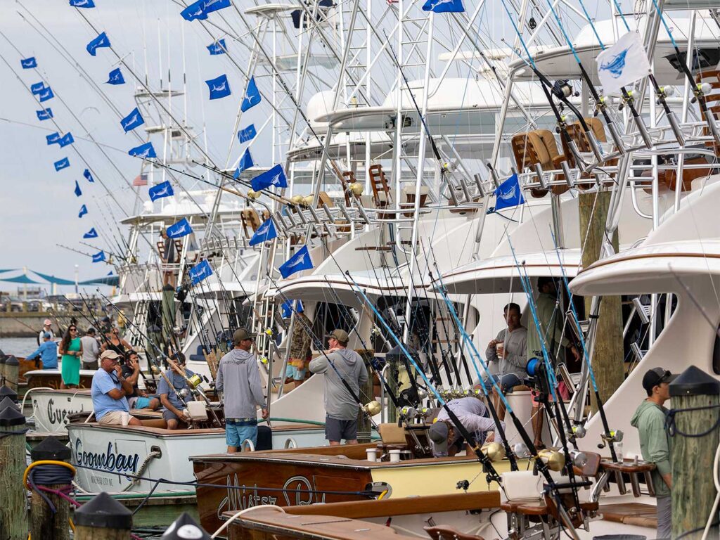 A fleet of sport-fishing boats on the docks during the 2025 Virginia Beach Billfish Classic.