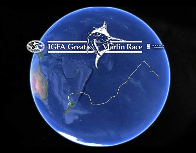 IGFA Great Marlin Race logo